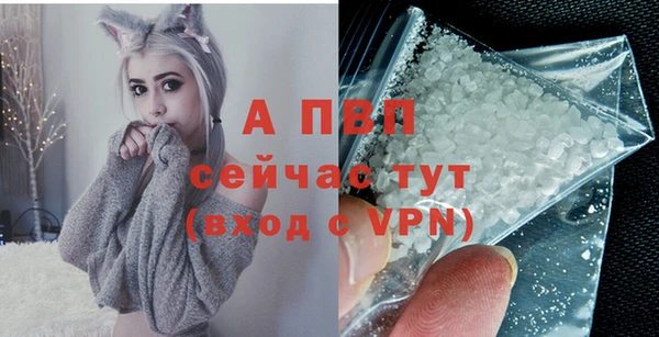 гашик Заводоуковск