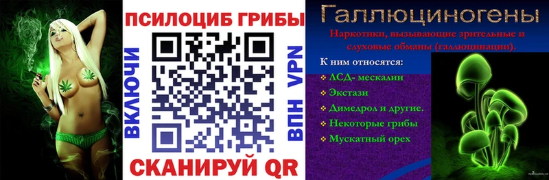 Галлюциногенные грибы MAGIC MUSHROOMS  как найти закладки  Курск 
