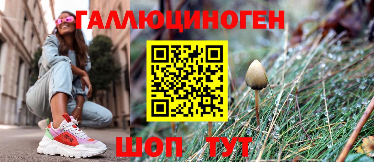 Галлюциногенные грибы Psilocybe Курск
