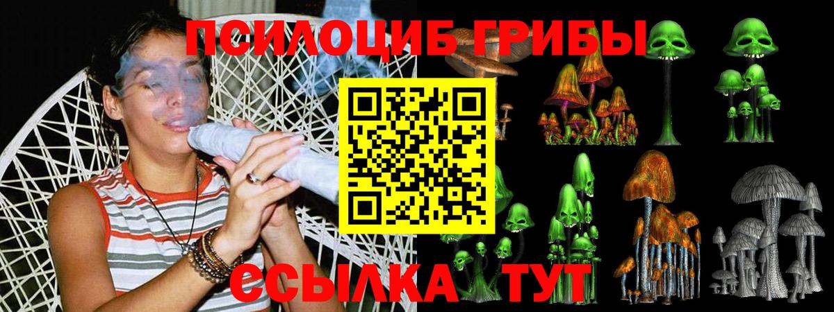 Галлюциногенные грибы ЛСД  Вход с VPN  купить   Галлюциногенные грибы мицелий  Курск 